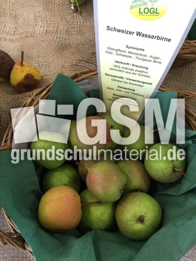 Schweizer Wasserbirne.jpg
